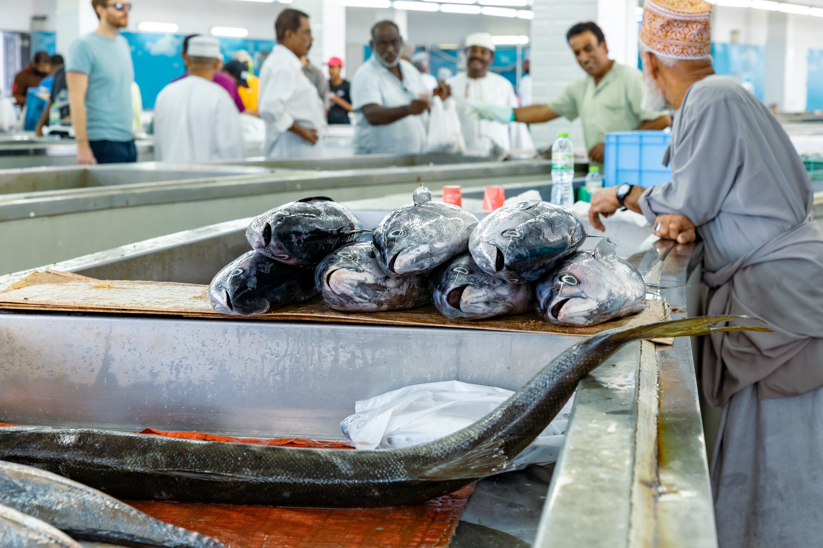 The Role Of Seafood Certifications 10 Years On What Next HRASi the-role-of-seafood-certifications-10-years-on-what-next-hrasi